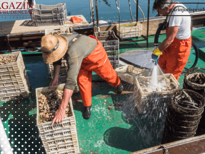 Copia de Texto del párrafo (31)