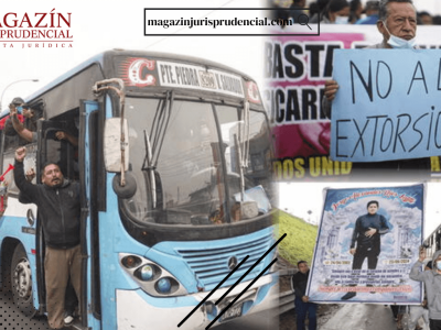 Texto del párrafo (19)