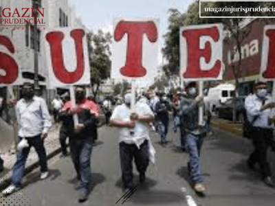 Texto del párrafo (30)