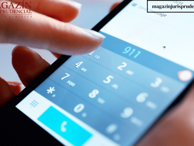 Texto del párrafo (43)