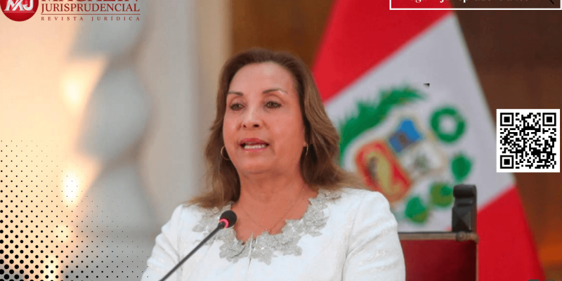 Texto del párrafo (44)