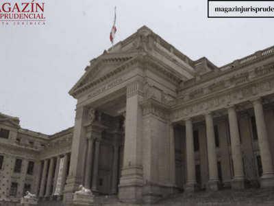 Texto del párrafo (51)