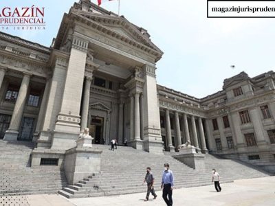 Texto del párrafo (52)