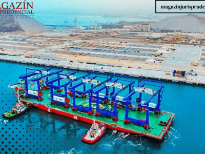 Texto del párrafo (58)