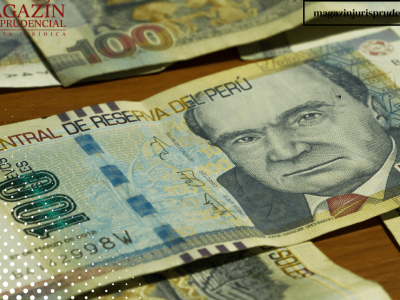 Texto del párrafo (88)